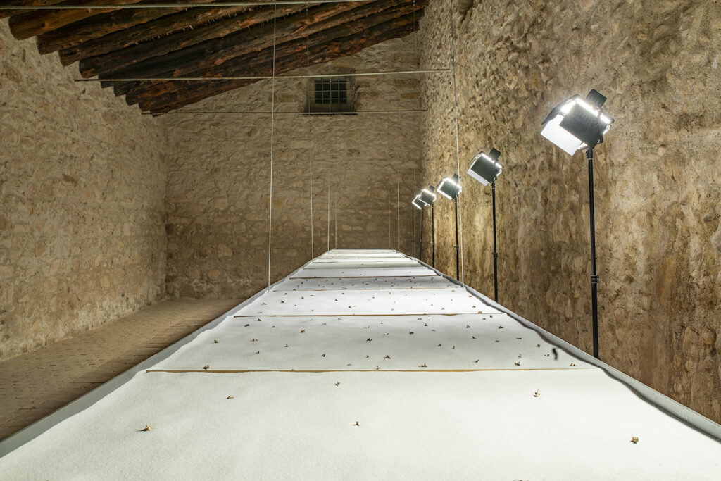 immagine per Corpo Fragile di Ignazio Mortellaro. Photo Credit Maria Lo Meo