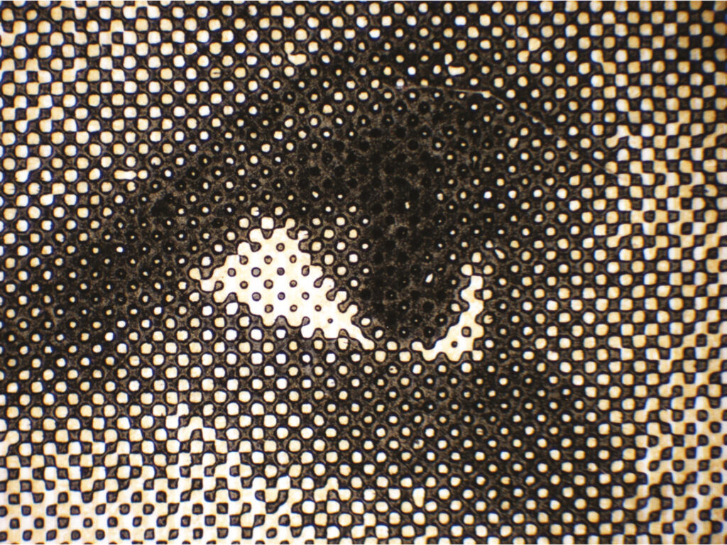 immagine per Francesca Serravalle Magnification