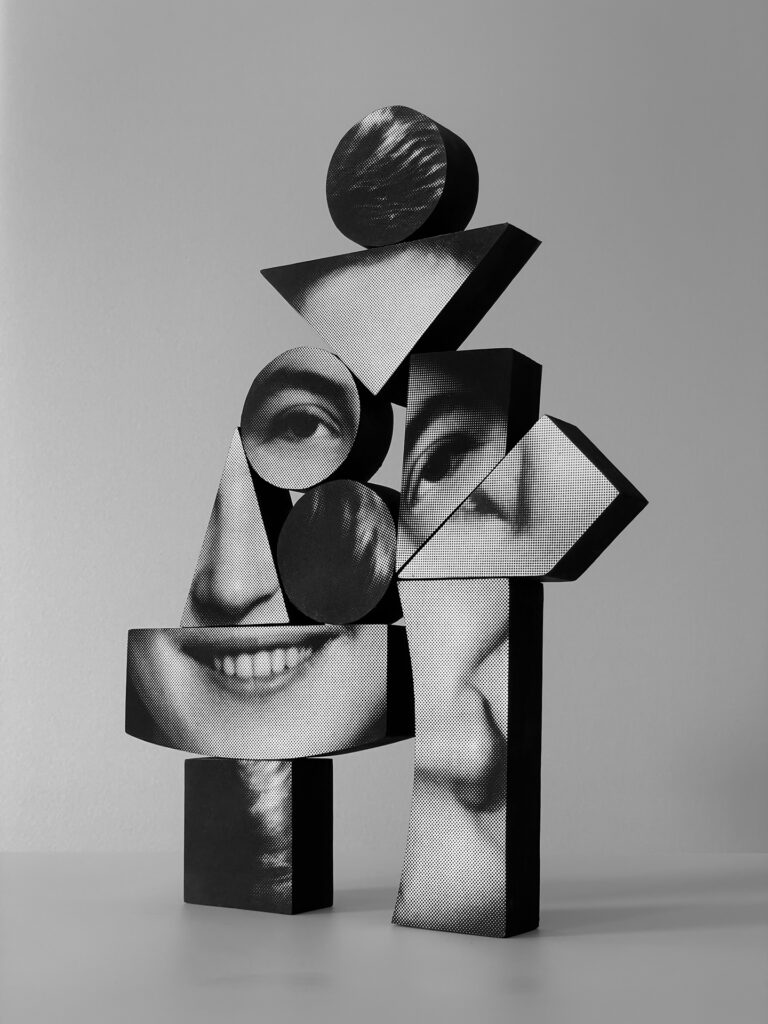immagine per Kensuke Koike Fragmented Identity Tumiki