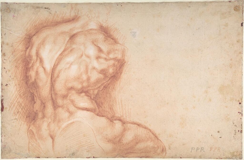 immagine per Rubens, Study of the Torso Belvedere