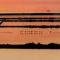 immagine per Andreas Gursky