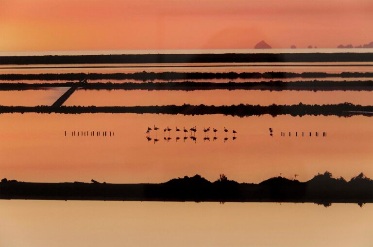 immagine per Andreas Gursky