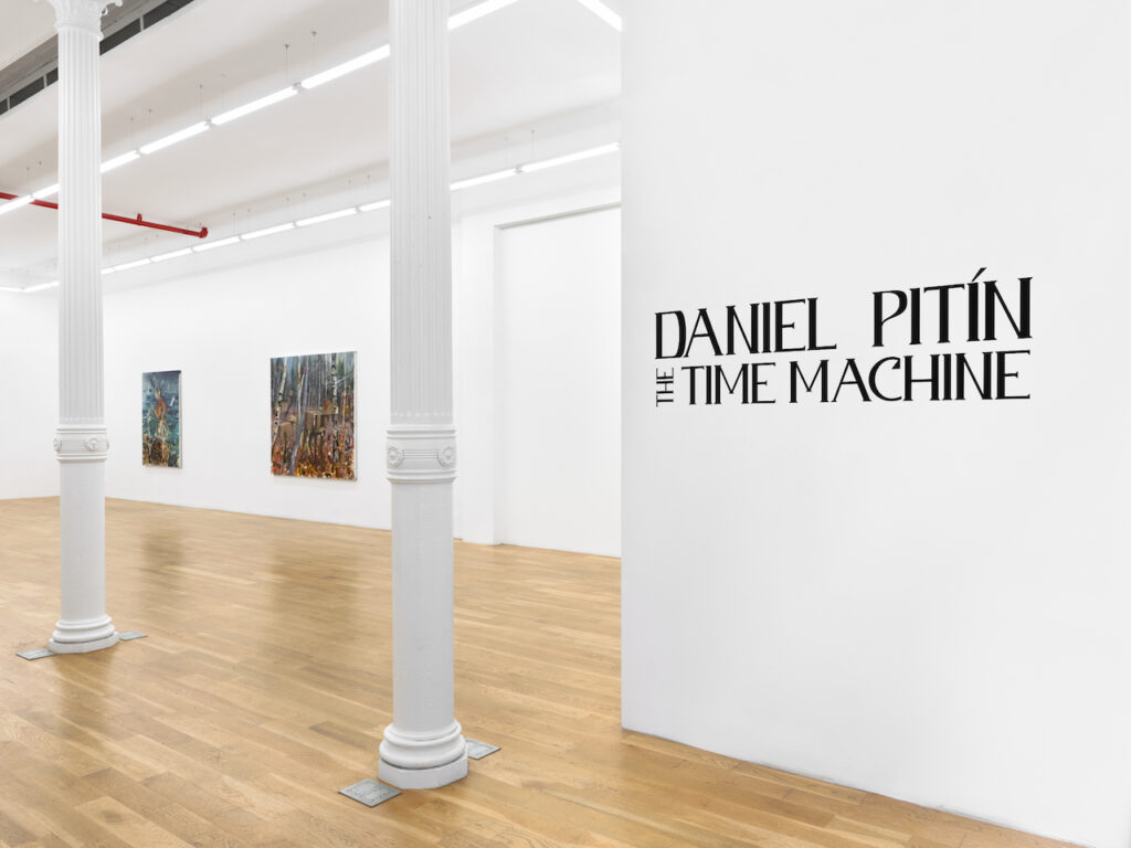 immagine istallazione: Daniel Pitín Nicodim New York, 2023