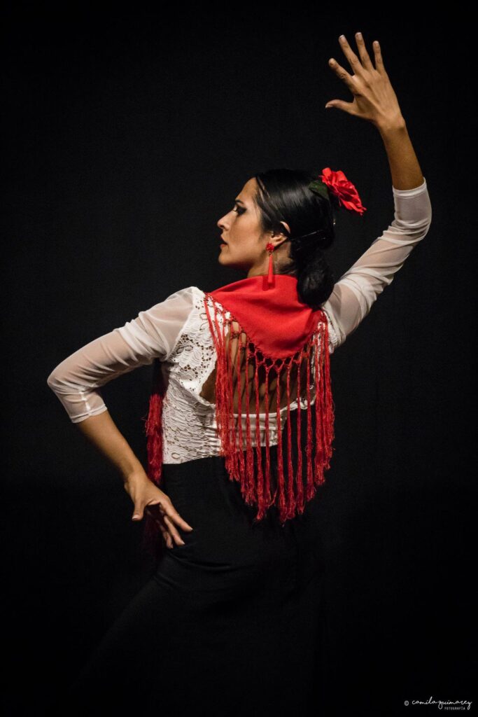 immagine per Flamenco Sevilla VivaL'Arlecchino Errante Festival