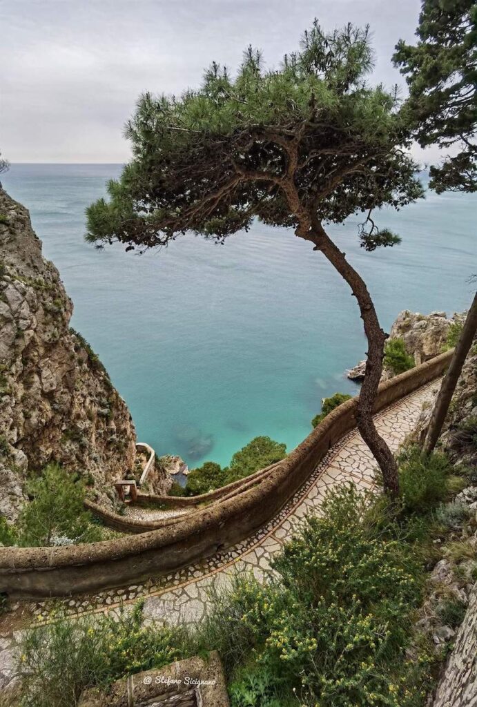 03 immagine per Via Krupp a Capri. Riaperta e nuovamente percorribile la strada panoramica dell'Isola dei baci.