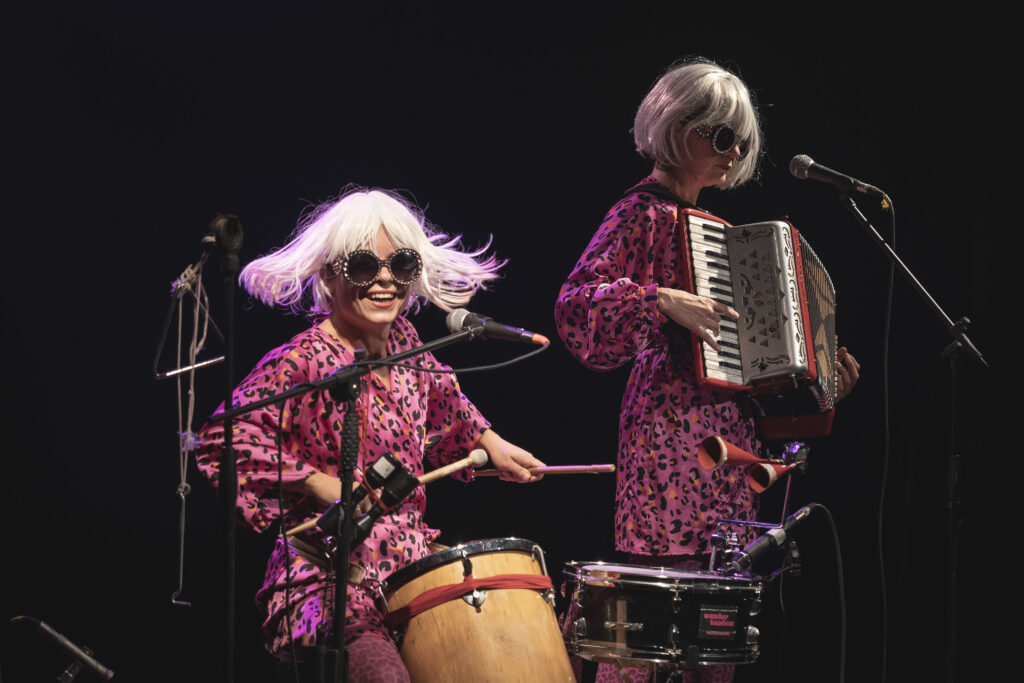 immagine per Wunder Tandem L'Arlecchino Errante Festival