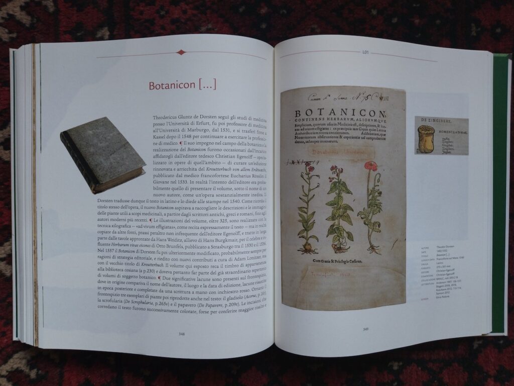 immagine per Rara Herbaria. Libri e Natura dal XV al XVII secolo (copertina)