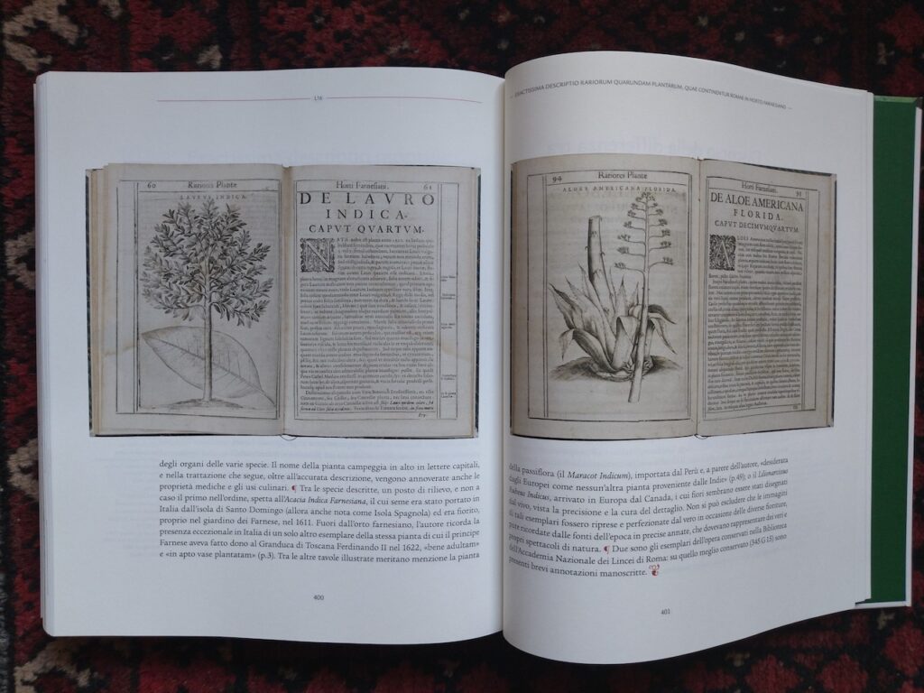 immagine per Rara Herbaria. Libri e Natura dal XV al XVII secolo (copertina)