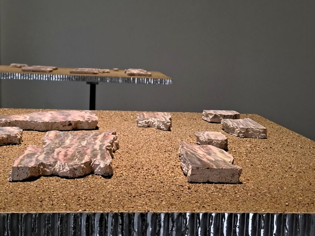 immagine per Anri Sala