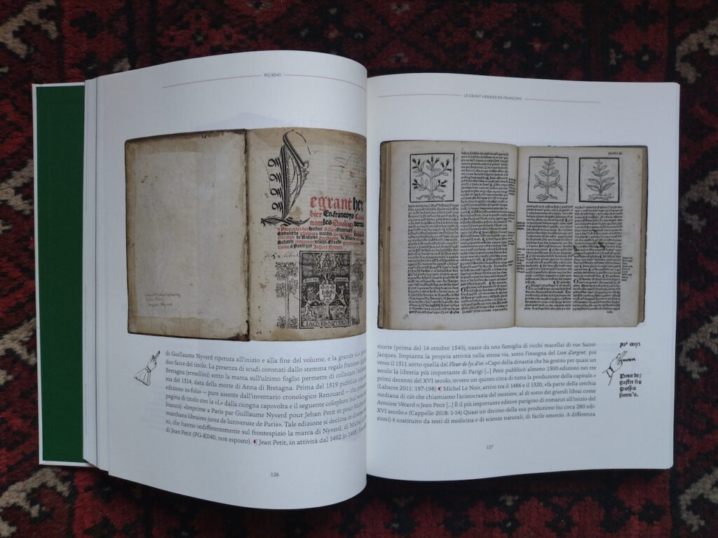 immagine per Rara Herbaria. Libri e Natura dal XV al XVII secolo (copertina)