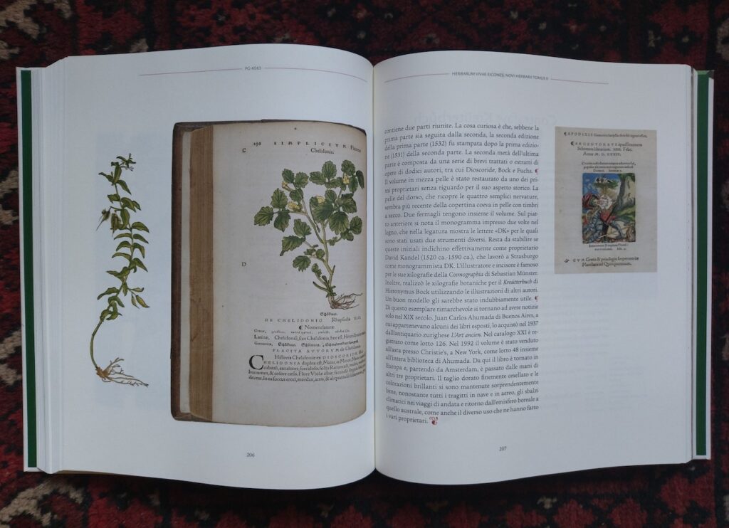 immagine per Rara Herbaria. Libri e Natura dal XV al XVII secolo (copertina)