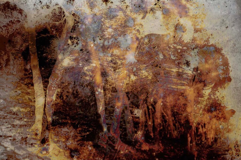 immagine per Joan Fontcuberta, Trauma, 2022 - mostra Cultura di polvere, ICCD, Roma 2023.