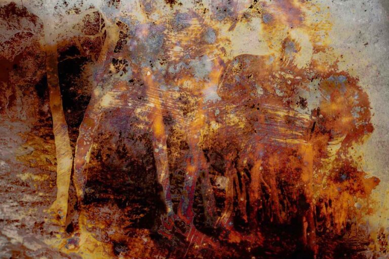 immagine per Joan Fontcuberta. Cultura di Polvere. La Fotografia il Tempo la Memoria la trasformazione e il caso