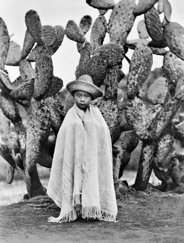 immagine per Tina Modotti, Bambino davanti a un cactus