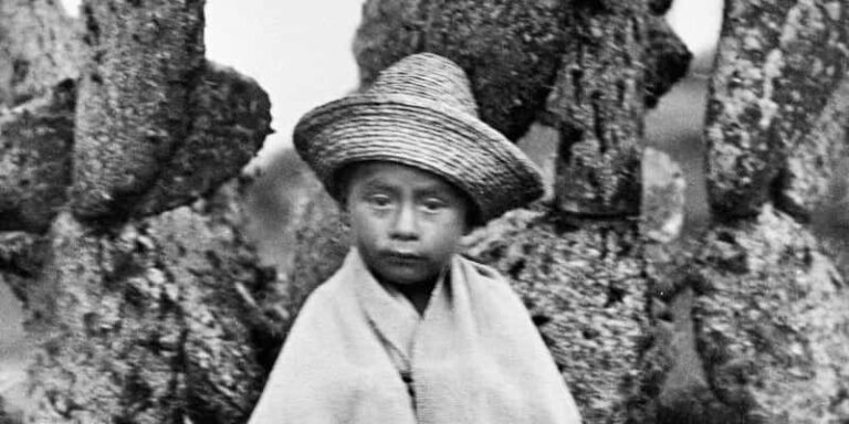 immagine per Tina Modotti