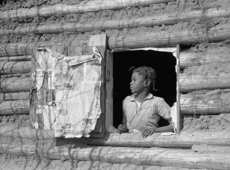 immagine per I have a Dream. La fotografia storica va al cinema