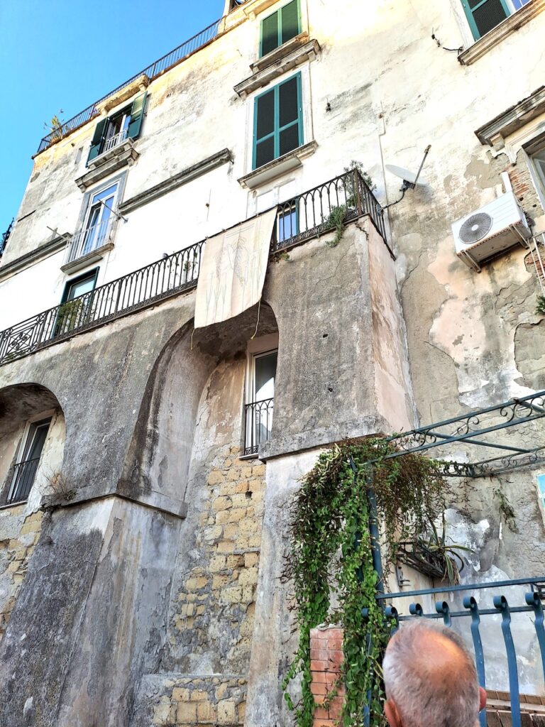 immagine per Materia Viva. A cura di Maria D'Ambrosio & Carla Langella