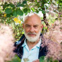 immagine per Brian Eno