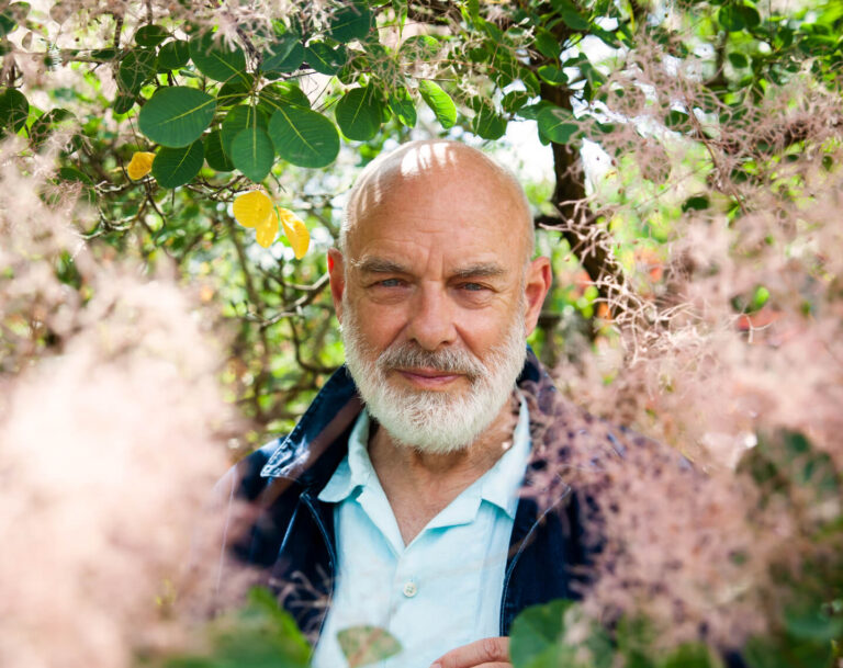 immagine per Brian Eno