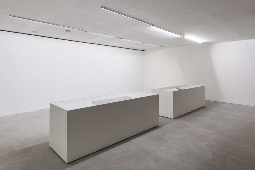 immagine per Francesco Arena, Il fulmine governa ogni cosa, Ph. Sebastiano Luciano, Courtesy Fondazione Nicola Del Roscio