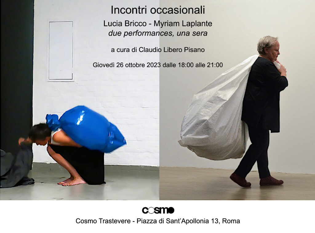 immagine per Lucia Bricco - Myriam Laplante. Incontri occasionali