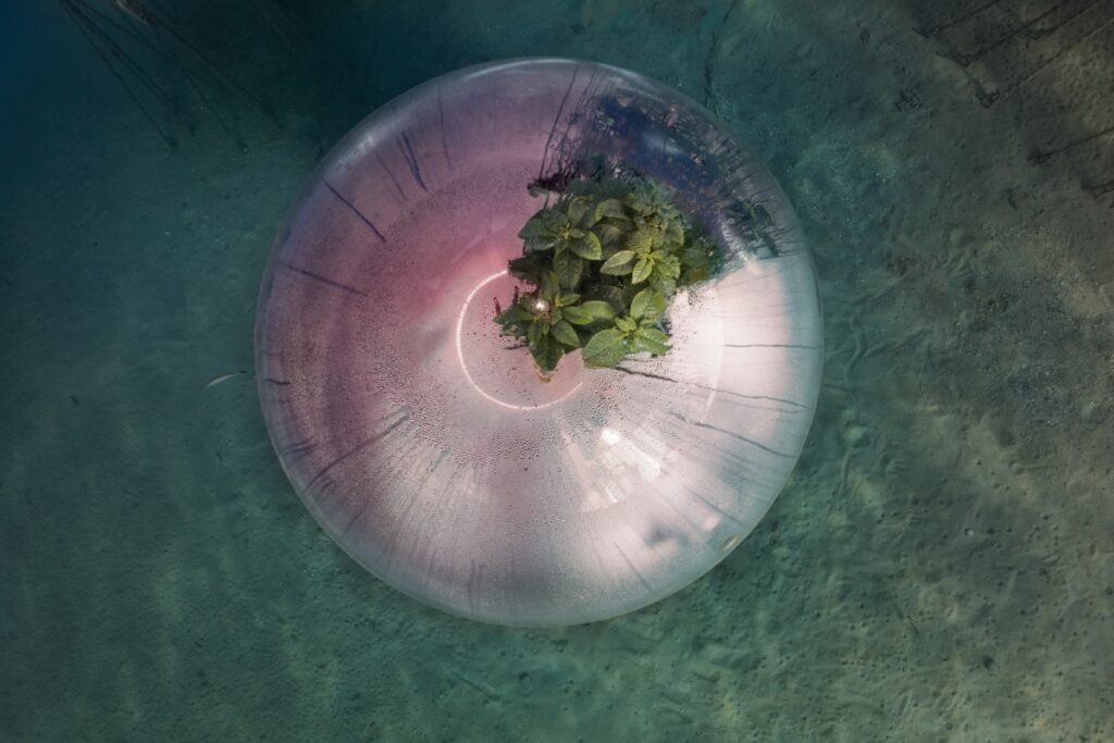 immagine per Luca Locatelli, Biosphere underwater farming #3, Italia, 2021 © Luca Locatelli