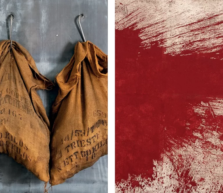immagine per Kounellis e Nitsch. A theatral moment