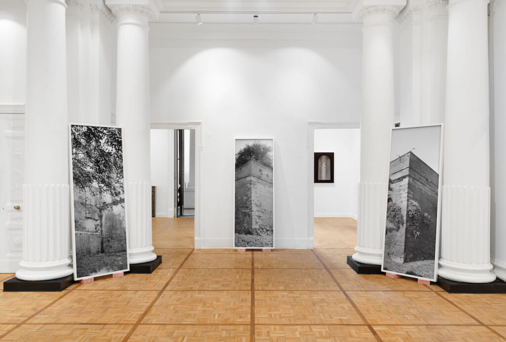 immagine per Catherine Opie. Walls, Windows and Blood alla Thomas Dane Gallery a Napoli