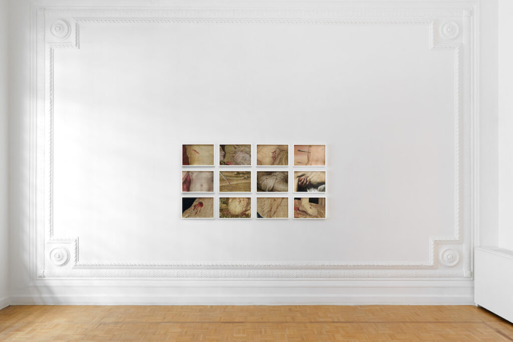 immagine per Catherine Opie. Walls, Windows and Blood alla Thomas Dane Gallery a Napoli