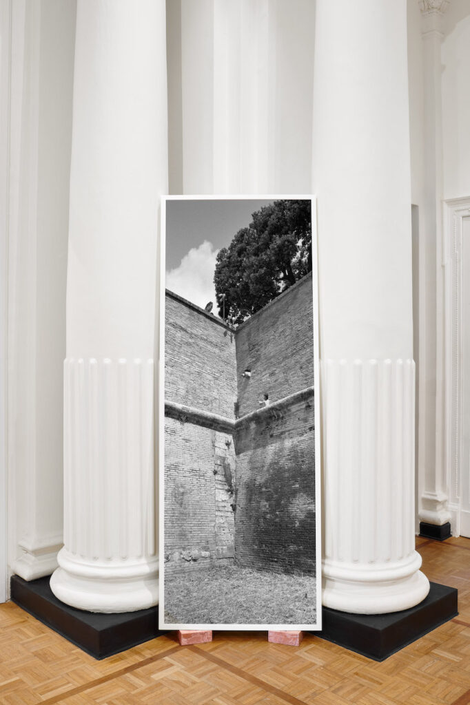 immagine per Catherine Opie. Walls, Windows and Blood alla Thomas Dane Gallery a Napoli