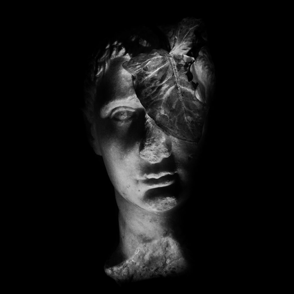 immagine per Antonio Biasiucci -Senza Titolo, dalla serie Mirabilia