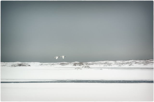 immagine per Duo, Islanda, Alessandro Rovelli
