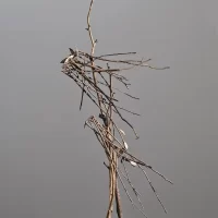 immagine per Giorgio Benni. L’Arte di fotografare l'arte.
