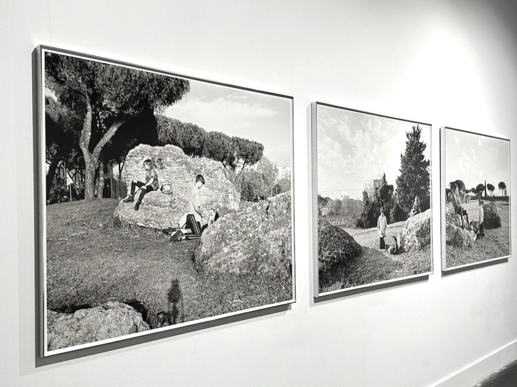 immagine per