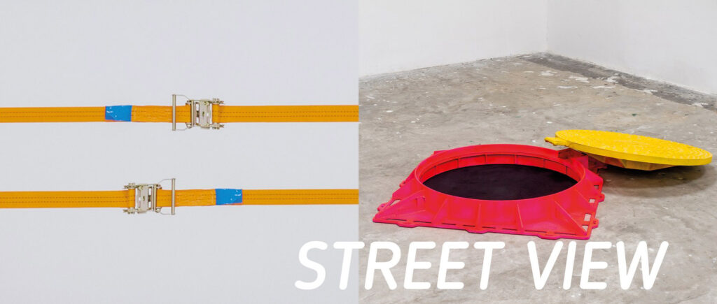 immagine per Street View @ A Pick Gallery Torino