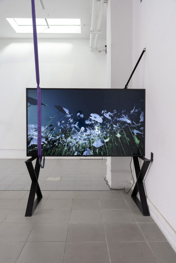 immagine per 2023, the field, photo by Eleonora Cerri Pecorella