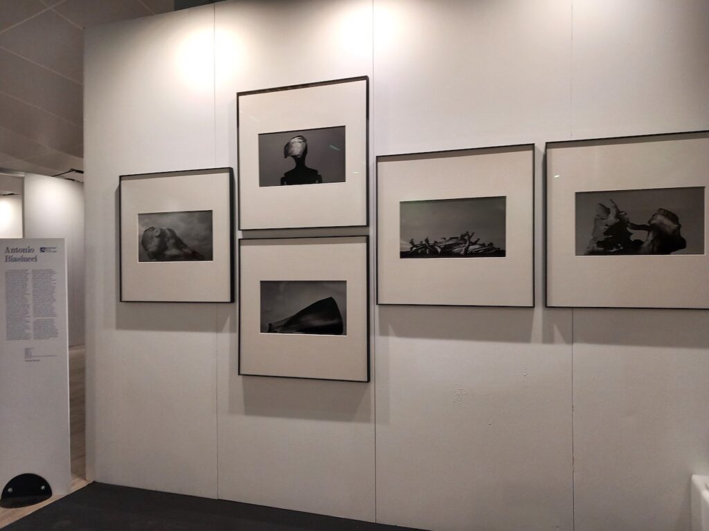 immagine per Roma Arte in Nuvola 2023.