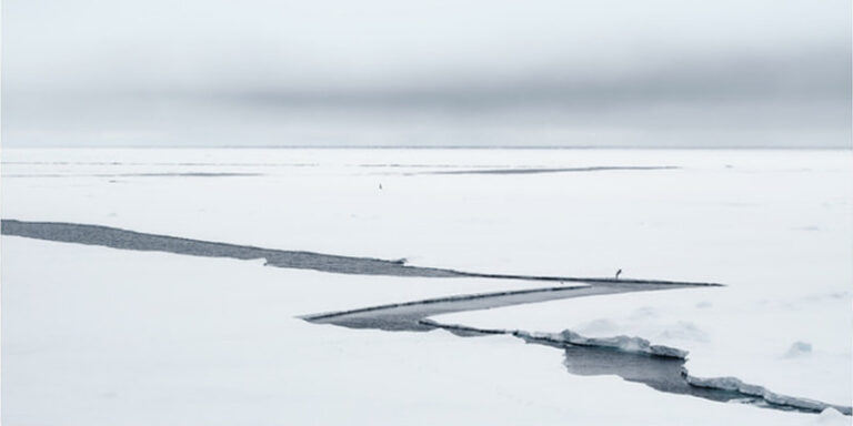 immagine per Nordisk Alessandro Rovelli