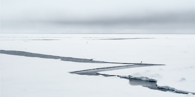 immagine per Nordisk Alessandro Rovelli