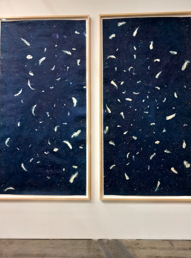 immagine per stand Repetto - A. Piangiamore e le sue piume - ph. B. Martusciello, 2023