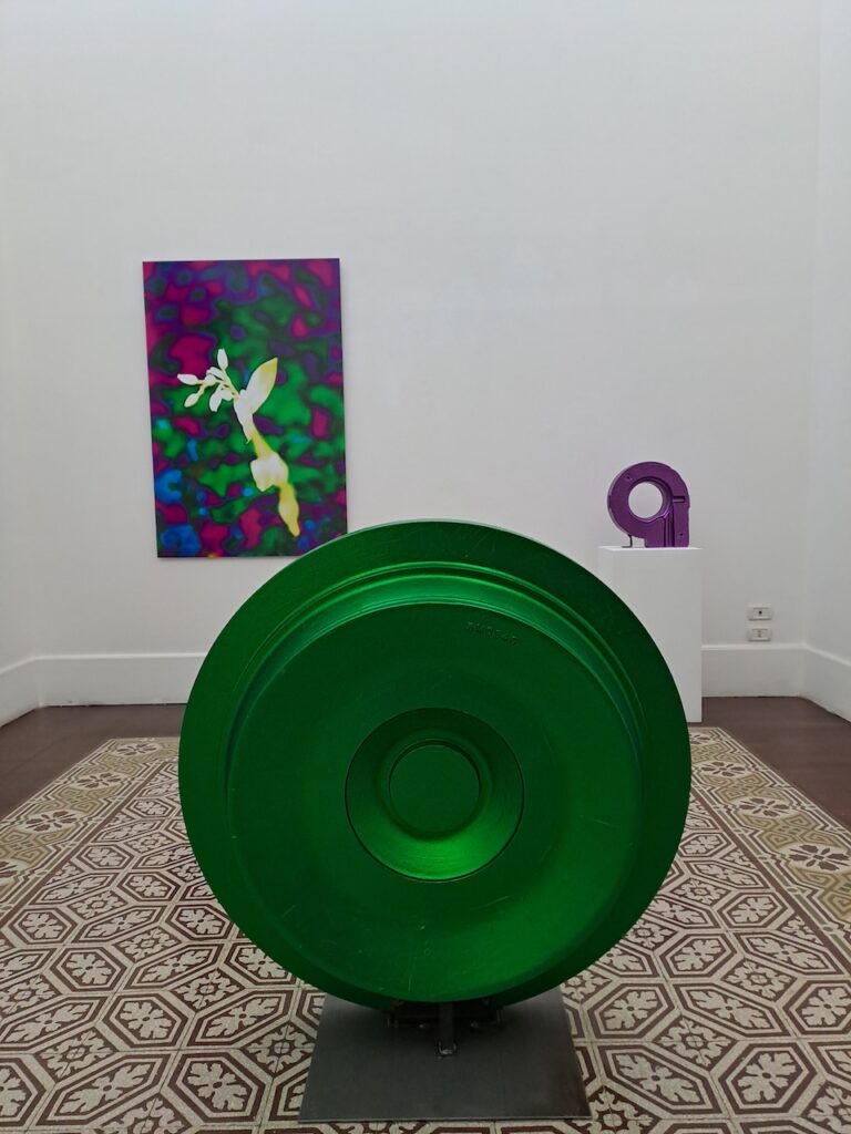 immagine per Maxime Rossi - A cosmos beneath the nail - galleria Tiziana Di Caro, Napoli