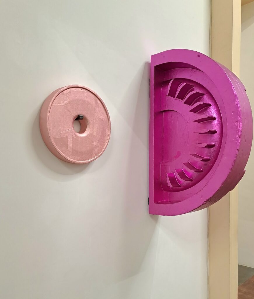 immagine per Maxime Rossi - A cosmos beneath the nail - galleria Tiziana Di Caro, Napoli
