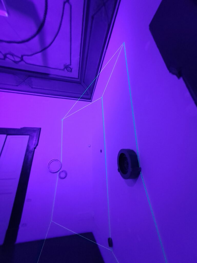 immagine per Maxime Rossi - A cosmos beneath the nail - galleria Tiziana Di Caro, Napoli