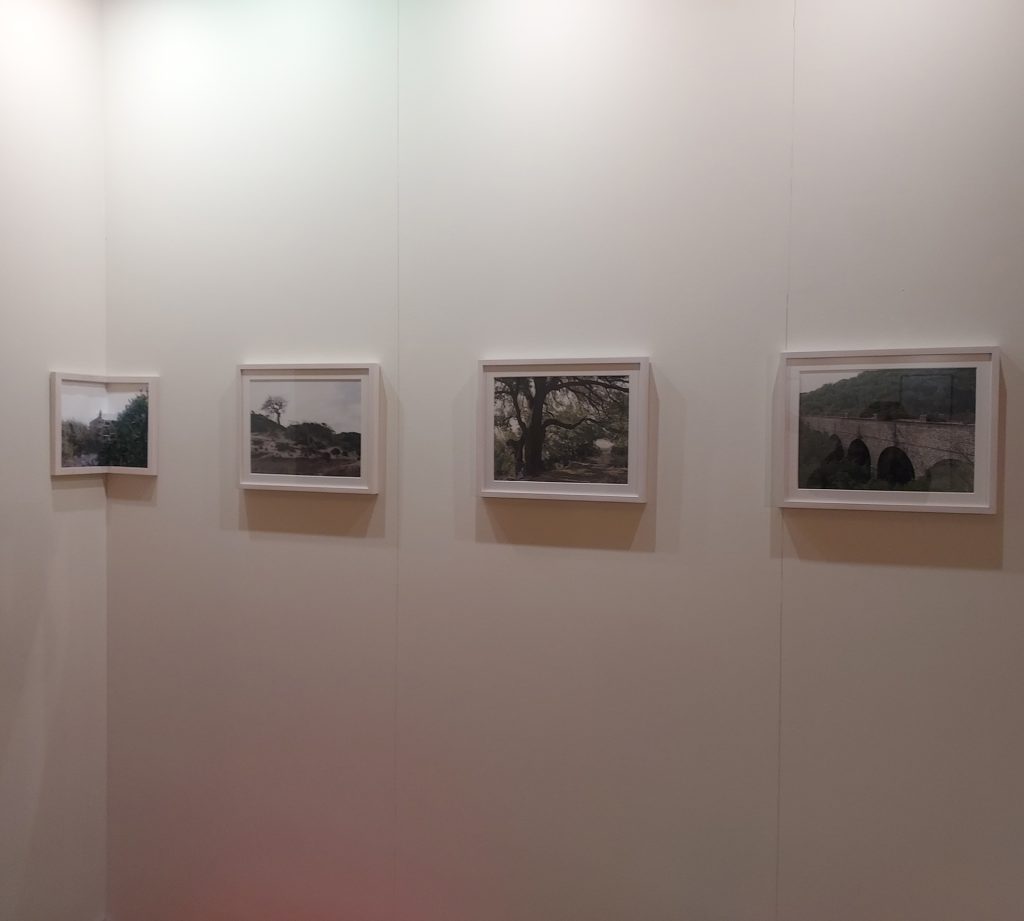 immagine per Silvia Camporesi - Caminantes, no hay caminos, hay que caminar