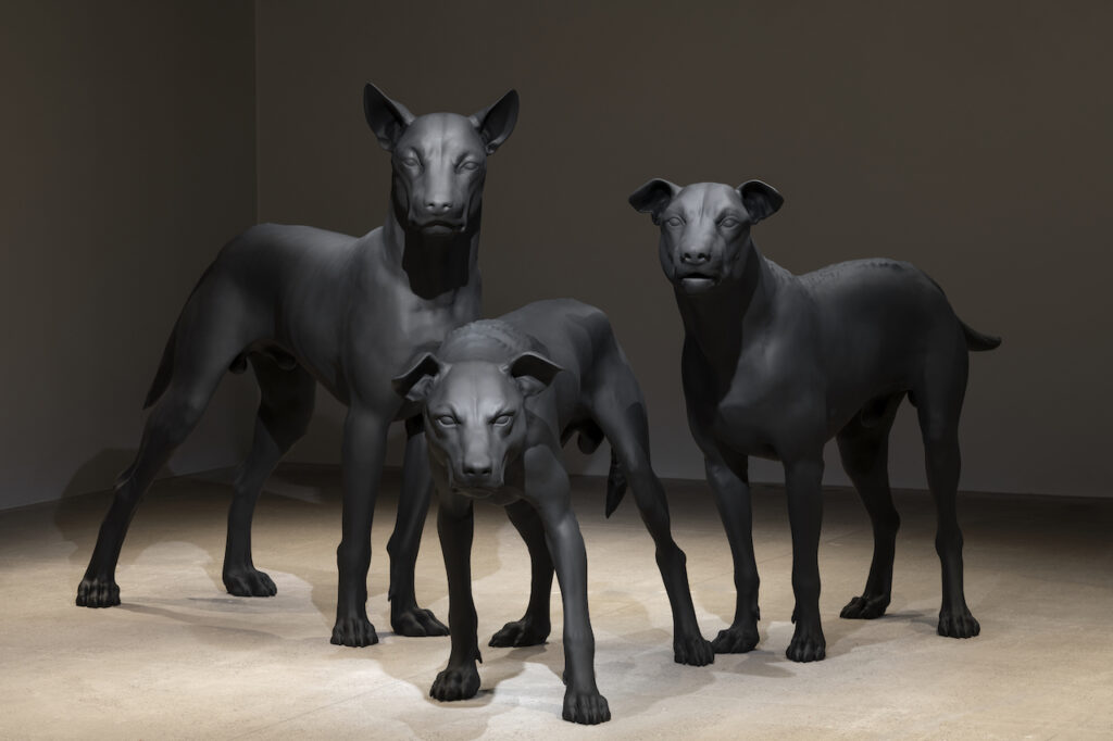 immagine per Mueck. Gigantismo e realismo strabiliante a Triennale Milano