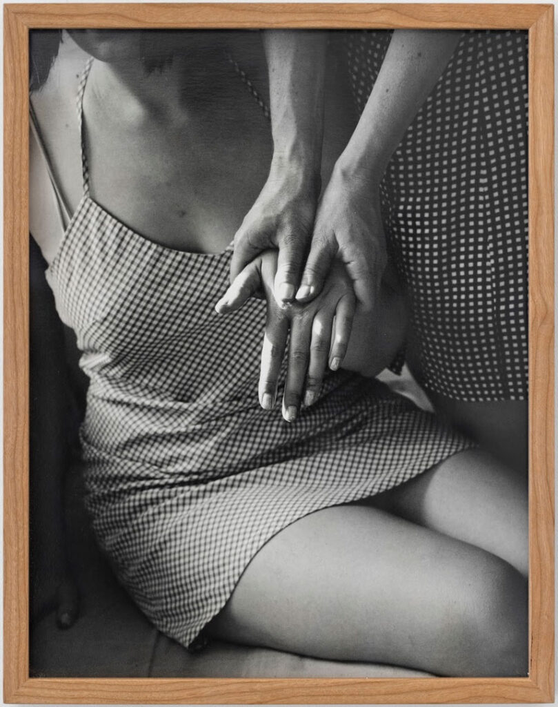 immagine per Joanna Piotrowska