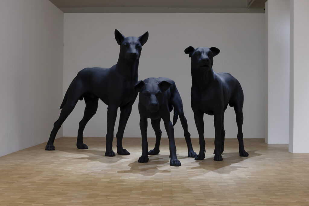immagine per Mueck. Gigantismo e realismo strabiliante a Triennale Milano