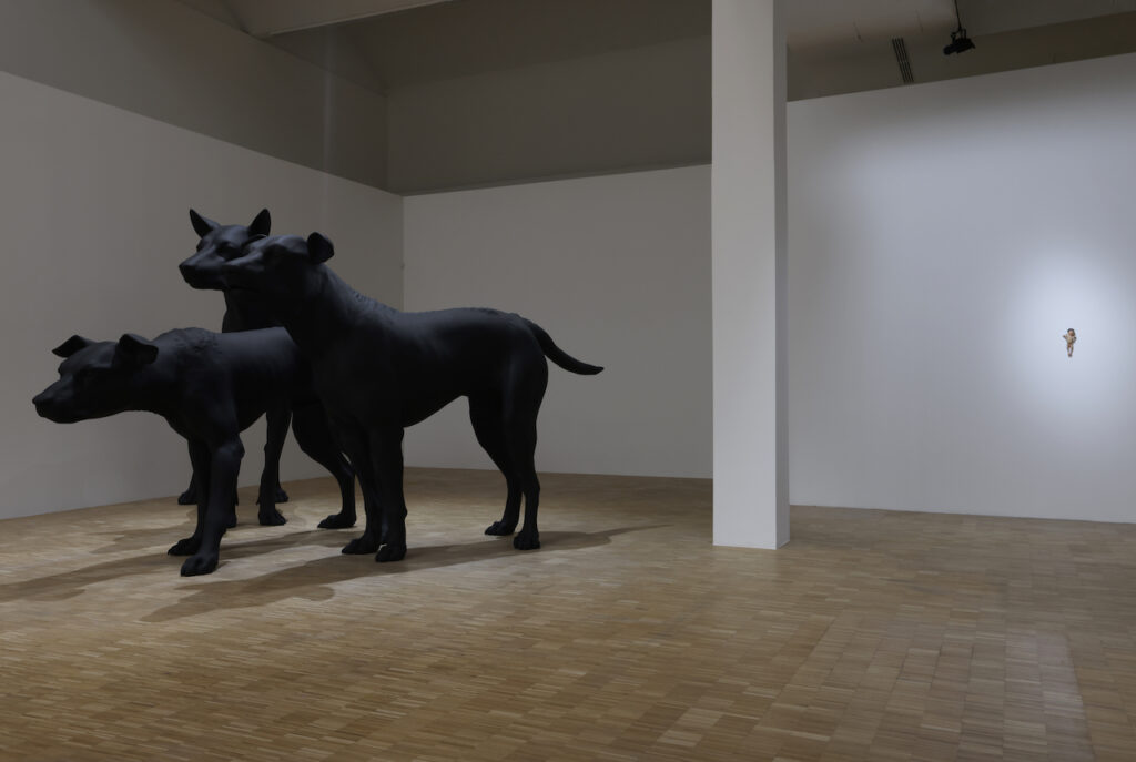 immagine per Mueck. Gigantismo e realismo strabiliante a Triennale Milano