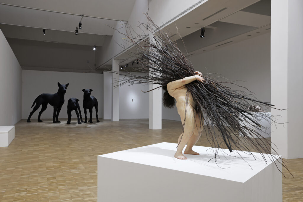 immagine per Mueck. Gigantismo e realismo strabiliante a Triennale Milano