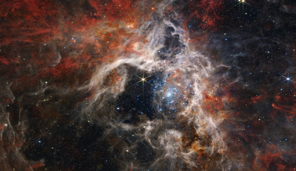 immagine per 17. La Nebulosa della Tarantola (30 Doradus), una regione di formazione stellare nella Grande Nube di Magellano, a 160.000 anni luce dalla Terra. The Tarantula Nebula (30 Doradus), a star-forming region in the Large Magellanic Cloud, 160,000 light years from Earth. Crediti: NASA, ESA, CSA, and STScI